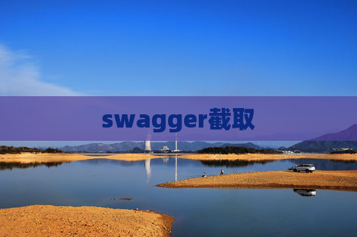 swagger截取